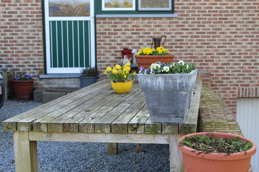 B&B De Vroling Wellen Extérieur photo